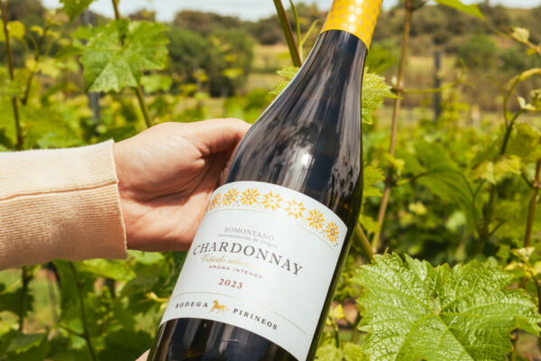 bodega pirineos vino