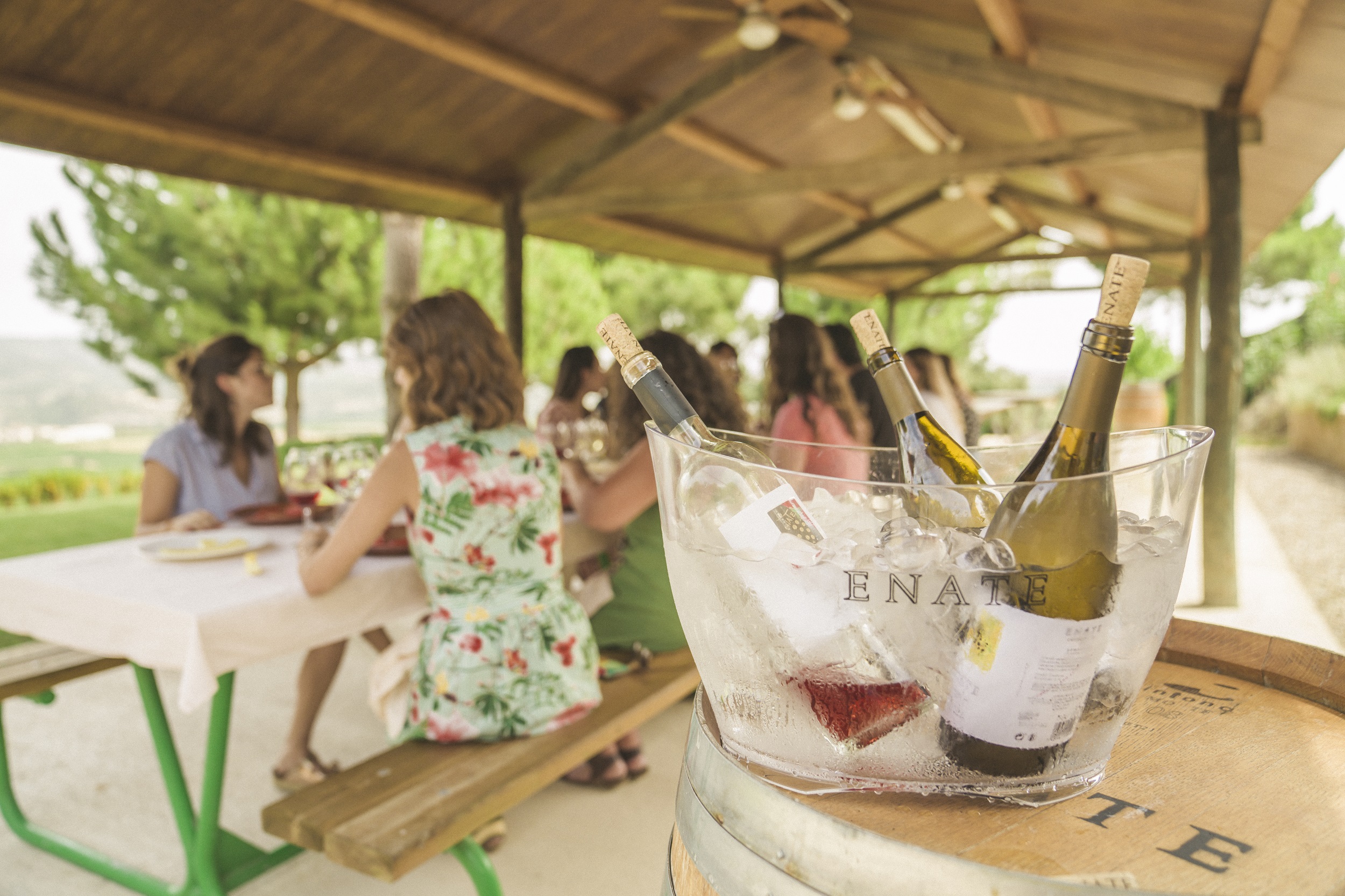 experiencia_bodegaenate
