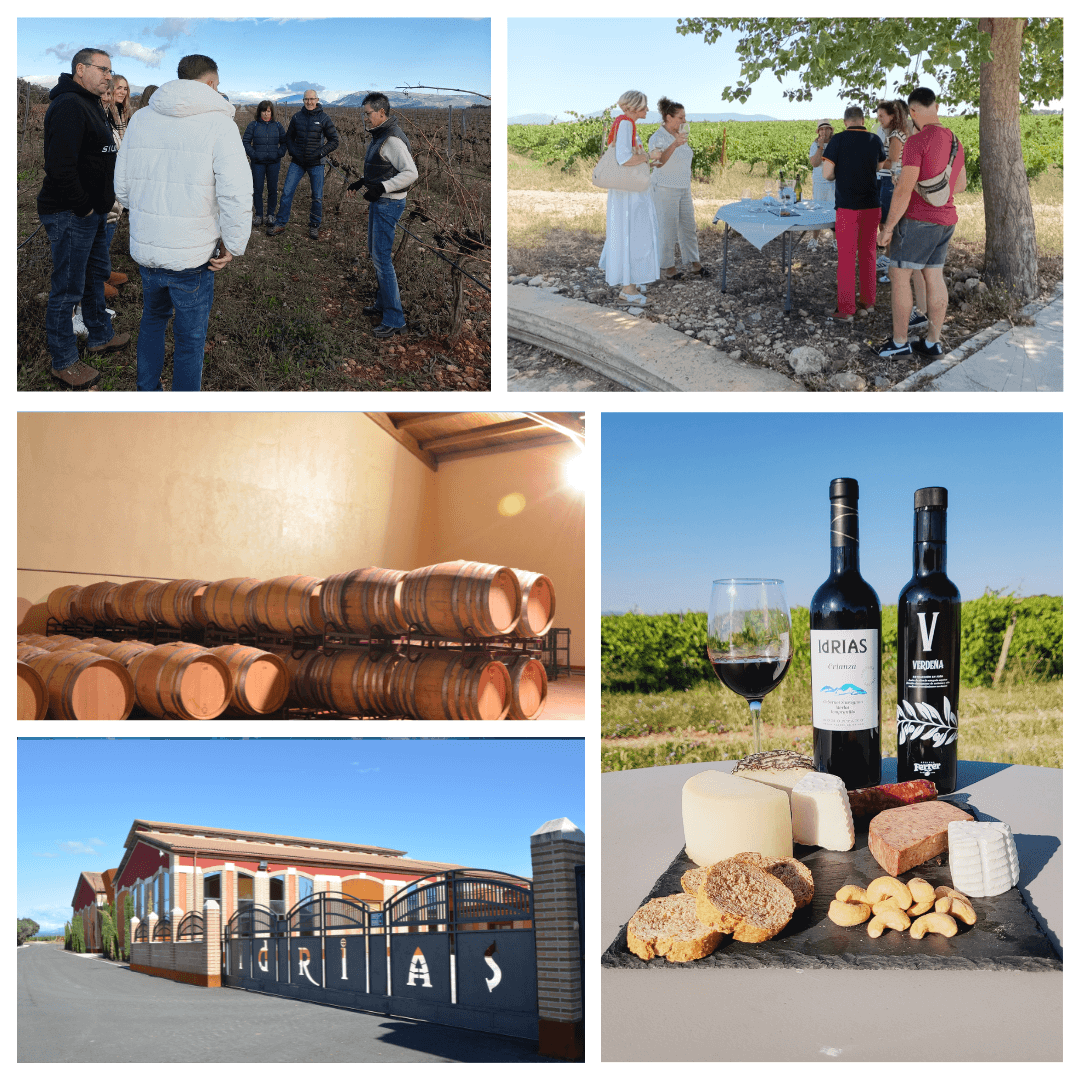 Visita con maridaje KM.0 y degustación de Aceites del Somontano