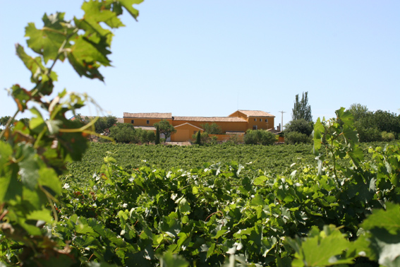 Bus del Vino Somontano Bienvenida primavera