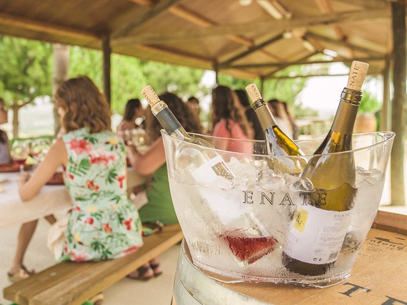 Panorámica: Barbacoa entre viñedos – Bodega ENATE