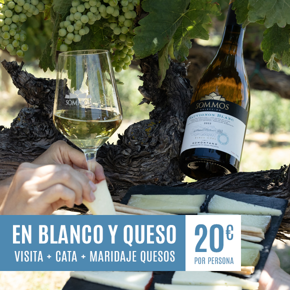 En Blanco y queso – Bodega Sommos