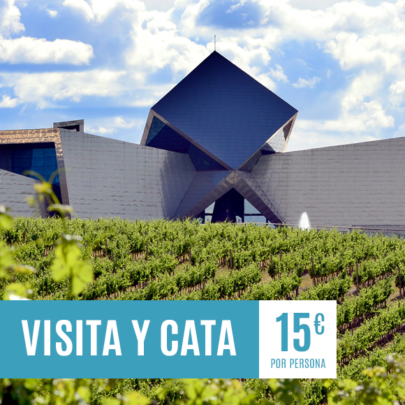 Visita y cata – Bodega Sommos