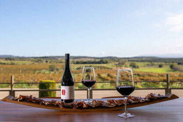 winebar terraza enate