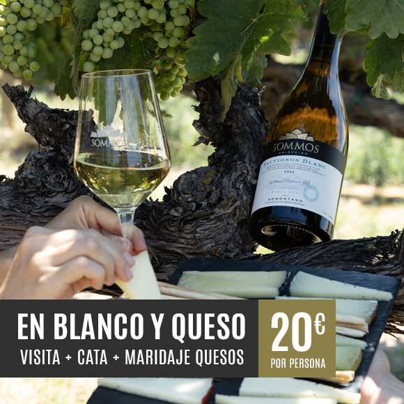 En blanco y queso – Bodega Sommos